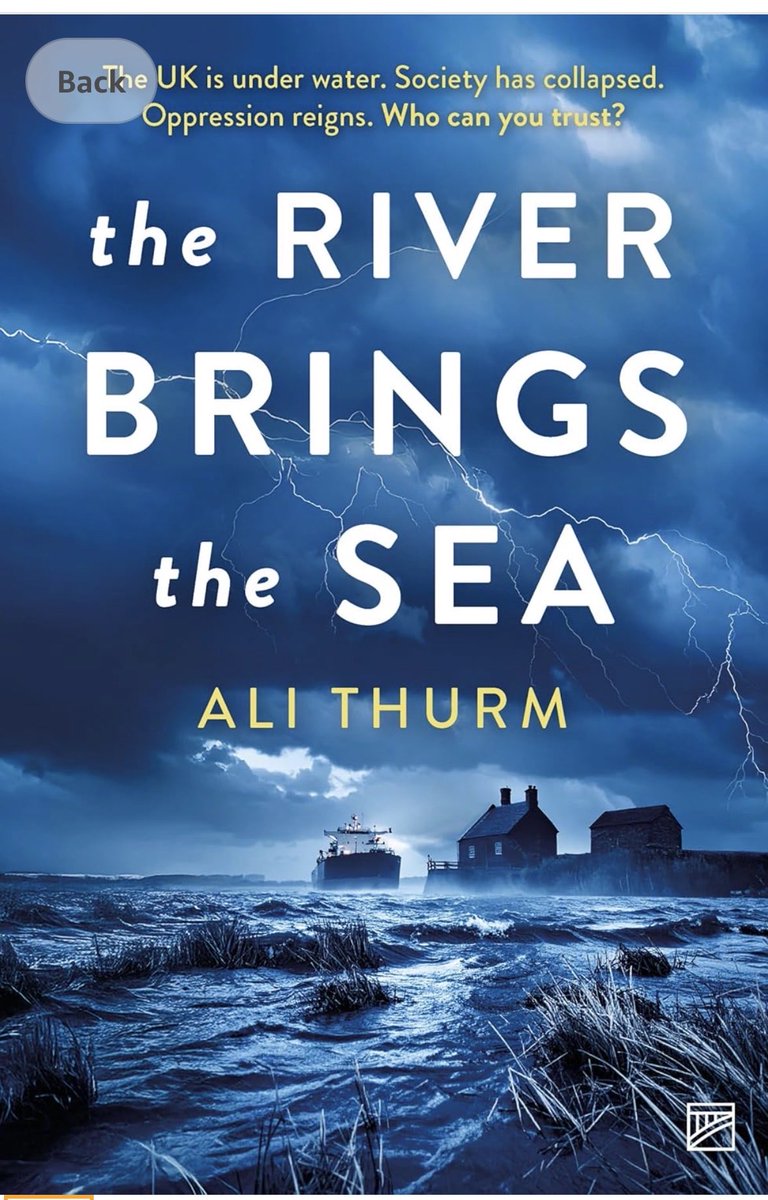 Ali Thurm tweet media