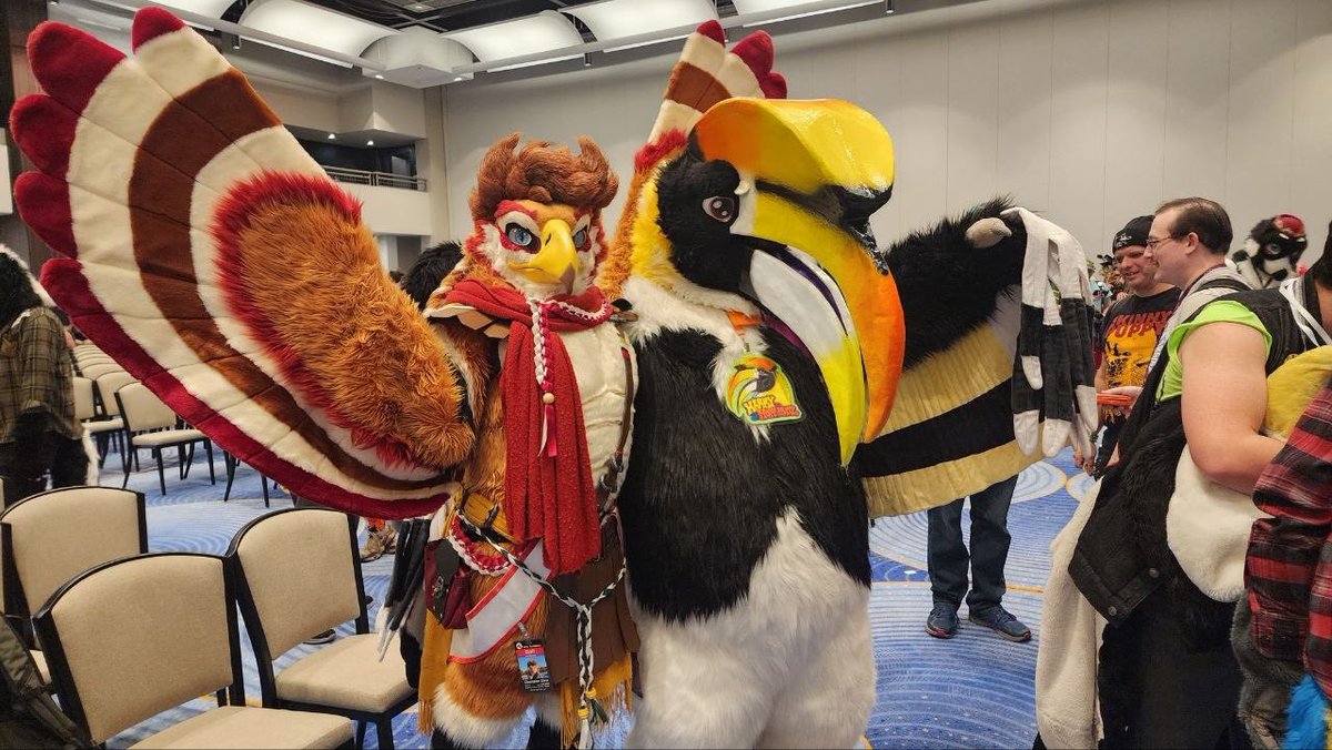 Harry The Hornbill 🔜 MP tweet media