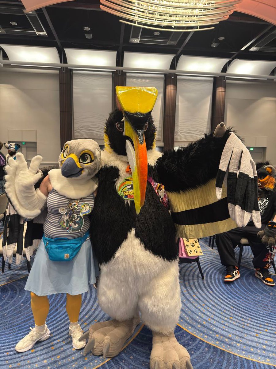 Harry The Hornbill 🔜 MP tweet media