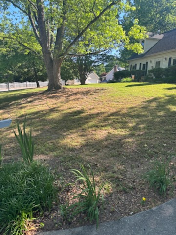 palmettolawn's tweet photo. That spring green-up is happening fast, but you can already see some stress spots and bare areas trying to creep in. A little attention now goes a long way before summer heat really sets in. Give us a call if your lawn needs some help bouncing back.

#YardWork #SpringPrep #Pal... https://t.co/ANFiHJvLhX