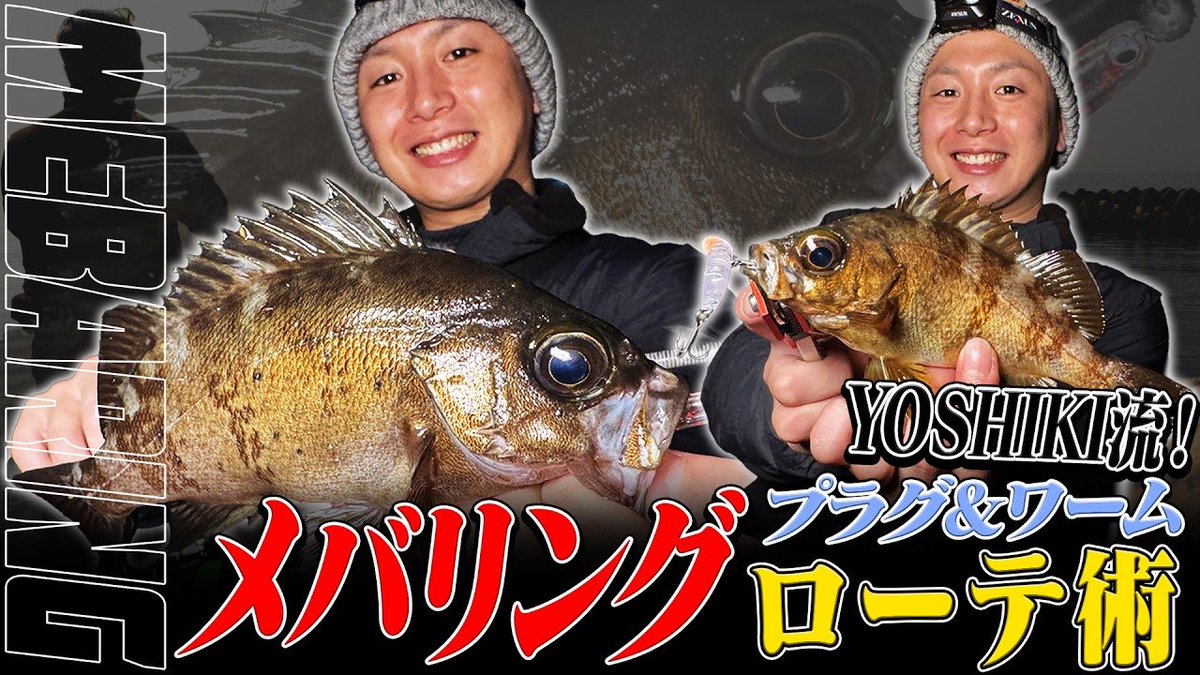 DAIWA SW Fishing Shore (@d_sw_shore) / Posts / X