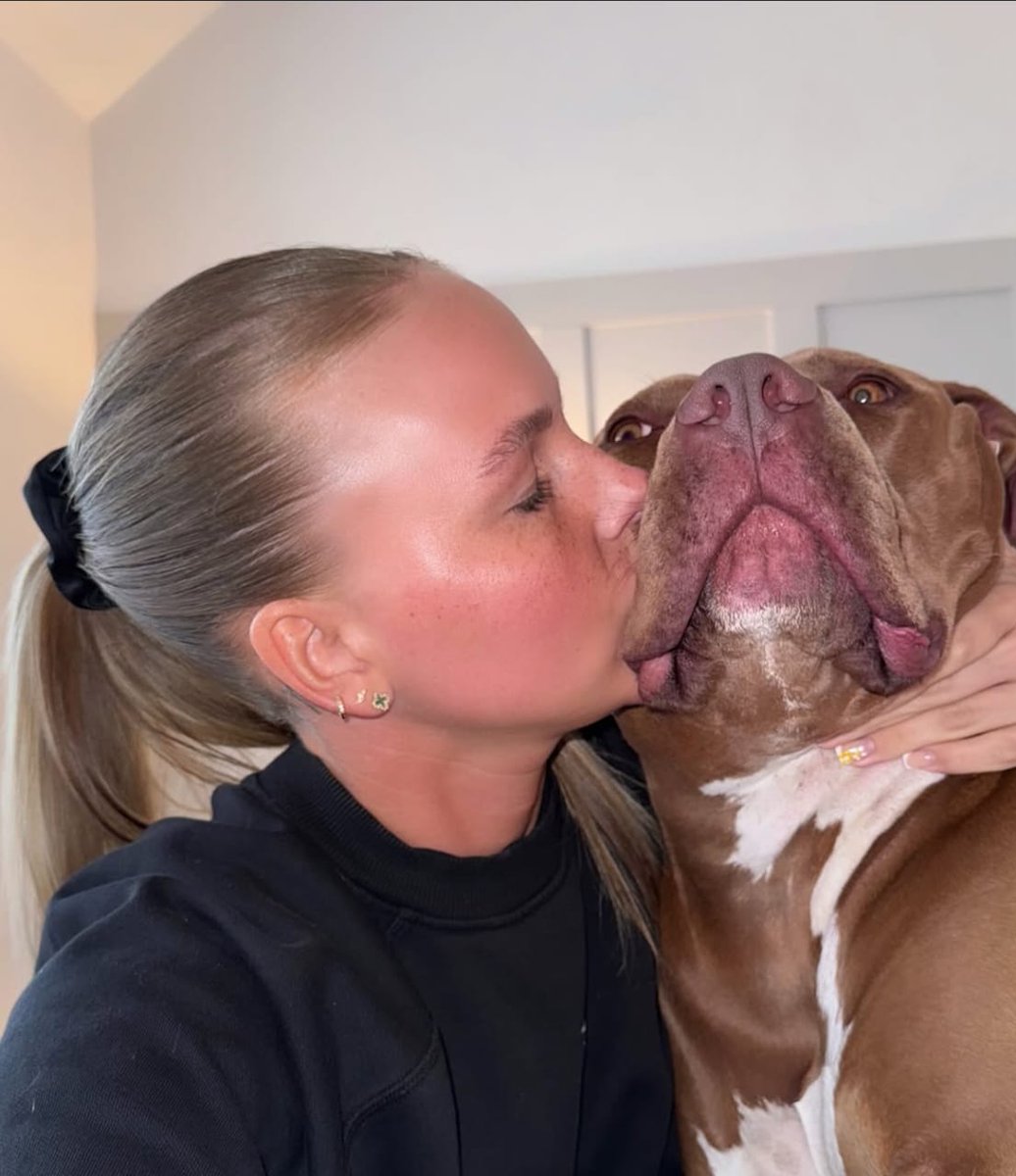 DenanJidon82080's tweet photo. #DogsLover #dogknotting
#dogtop #doggy
#doggousa 
 New content available serious buyers should DM on telegram
https://t.co/KOsiKONYTv https://t.co/ETh3iF8JfH
