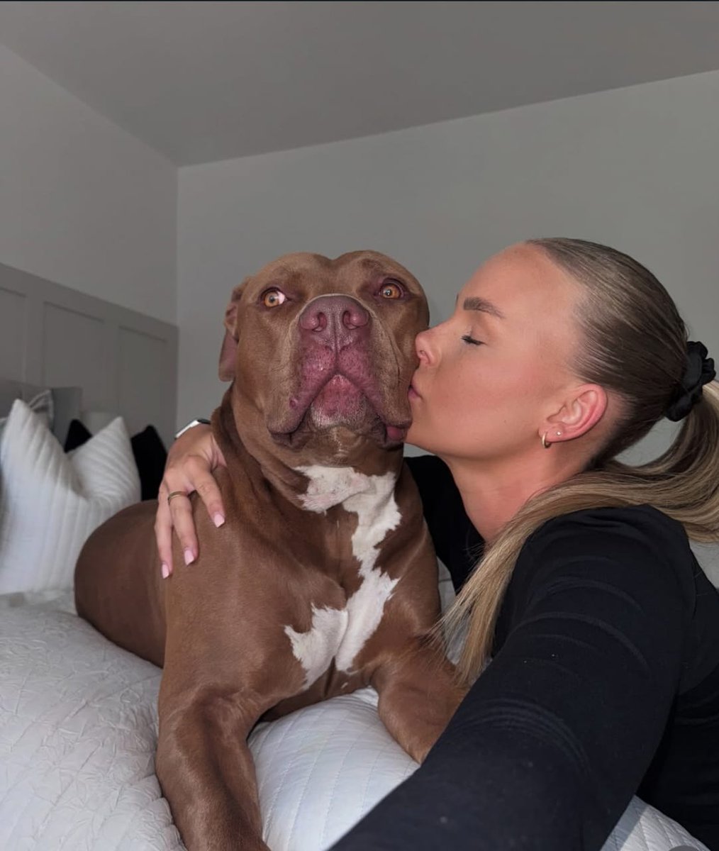 DenanJidon82080's tweet photo. #DogsLover #dogknotting
#dogtop #doggy
#doggousa 
 New content available serious buyers should DM on telegram
https://t.co/KOsiKONYTv https://t.co/ETh3iF8JfH