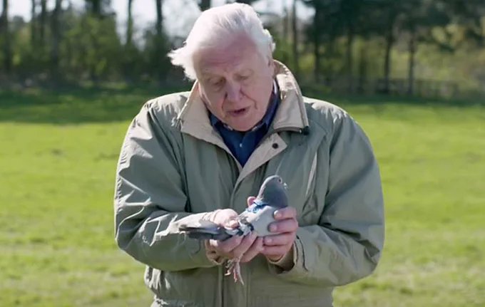 alan1945 tweet media