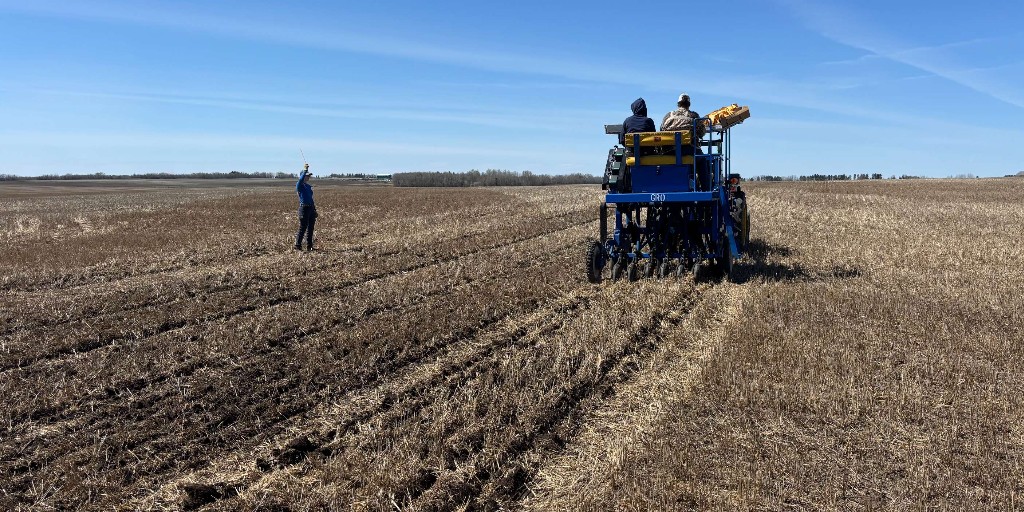 GatewayResearch's tweet photo. What a great day to be in the field!
The sun is shining and pea, faba, lupin, lentil, flax, and barley/clover trials are going in the ground.
It's so exciting to be underway!
#Plant26 #SmallPlotResearch #CropTrials #AgricultureResearch #PulseCrops #ABAg #GRO #RDAR https://t.co/8TqFCgibiI