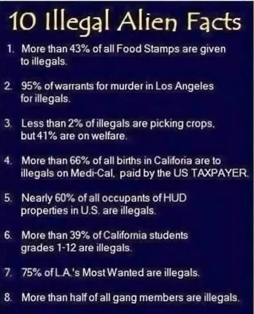 Enforce laws not feelings tweet media