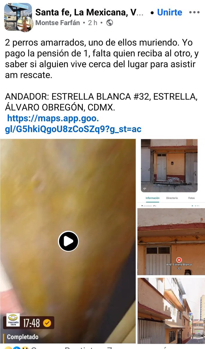 LicAnimalista's tweet photo. Urge intervención @UCS_GCDMX #BrigadaVigilanciaAnimal @AgatanCdmx  @PAOTmx en Alcaldía Álvaro Obregón ayuda @LopezCasarinJ  @PabloVazC https://t.co/MxJsywvmCg