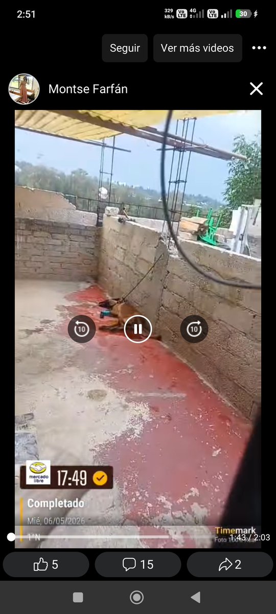 Urge intervención <a href="/UCS_GCDMX/">Unidad de Contacto del Secretario SSC CDMX</a> #BrigadaVigilanciaAnimal <a href="/AgatanCdmx/">Agencia de Atención Animal</a>  <a href="/PAOTmx/">PAOT</a> en Alcaldía Álvaro Obregón ayuda <a href="/LopezCasarinJ/">Javier López Casarín 💥🚀</a>  <a href="/PabloVazC/">Pablo Vázquez Camacho</a>