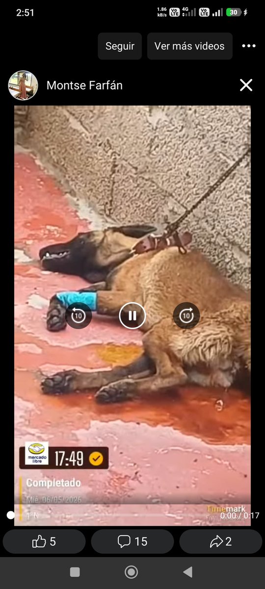 LicAnimalista's tweet photo. Urge intervención @UCS_GCDMX #BrigadaVigilanciaAnimal @AgatanCdmx  @PAOTmx en Alcaldía Álvaro Obregón ayuda @LopezCasarinJ  @PabloVazC https://t.co/MxJsywvmCg