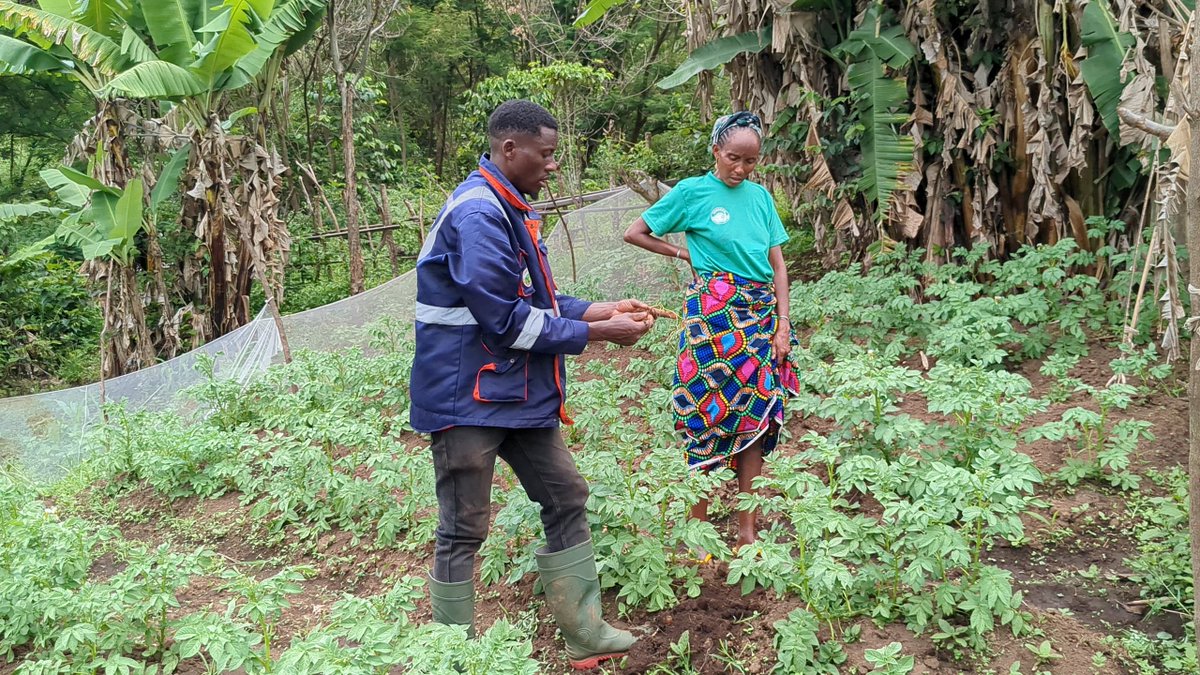 SSuhucam's tweet photo. Our Field Lead, Mangwa Felix is on the field monitoring the progress of our adaptation projects. We are excited with the progress and the commitment of our beneficiaries.
Want to know more about this project? Stay glued to our page @crowdfundingicp @SFehnui66335 @SundayGeofrey5 https://t.co/mcliJUxbOA