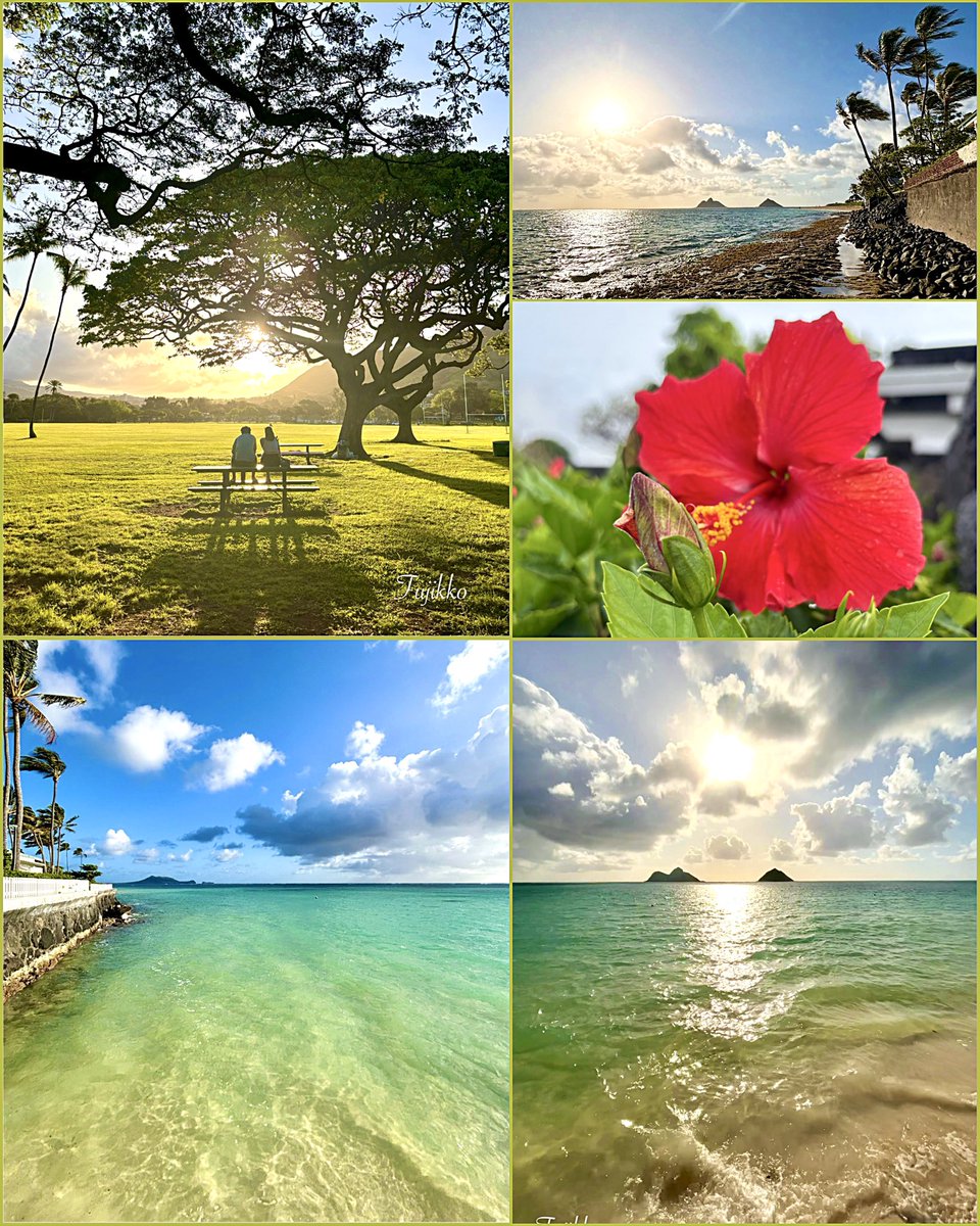 🏝️ Hawai’i                         

　　　          ⋆𓈒･:*࿐𓏲 🌺🍃

       ✾࿐𝐻𝒶𝓋𝑒 𝒶 𝓌𝑜𝓃𝒹𝑒𝓇𝒻𝓊𝓁 𝒹𝒶𝓎🌿