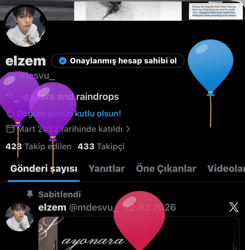elzem tweet media
