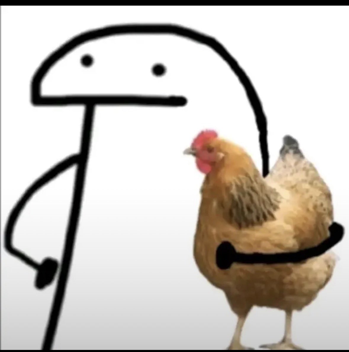 POSTERCHICKS's tweet photo. Bad news: I was running away from my rooster on my way to work because he’s a bloodthirsty monster and as I was trying to get into my car - I got my hand smashed in by my door and now my entire drawing hand is going numb
Don’t know how long it’ll last but until then I can’t draw 💔