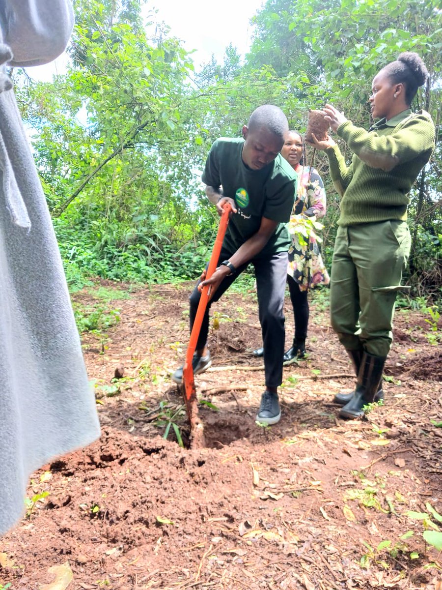 NRFA2015's tweet photo. 🌿🎓 Technical University of Nairobi at Ngong Road Forest! 🌳

We were delighted to host students and staff from the Technical University of Nairobi for a meaningful tree planting activity at our forest.

#VisitNgongRoadForest #TUK #JazaMiti #EnvironmentalConservation #GreeningKE https://t.co/mLYxCzUOk0