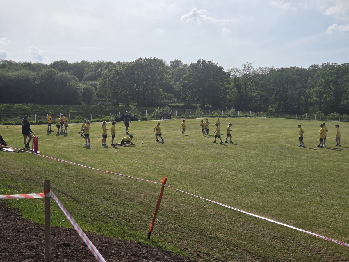 Drefach Cricket Club tweet media