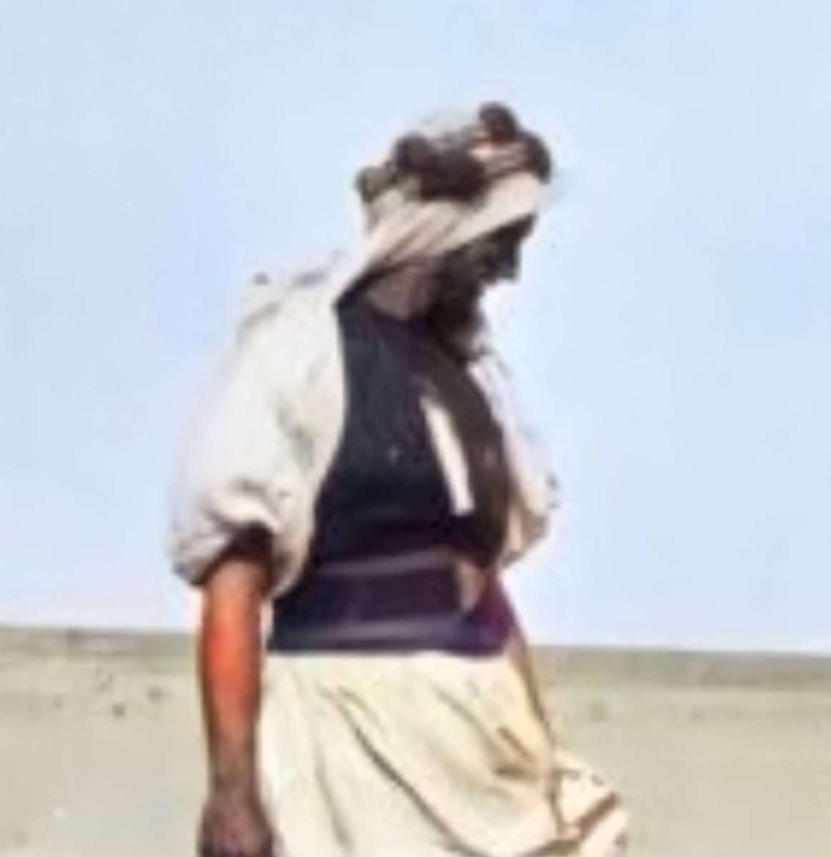 رُمح سلامة tweet media