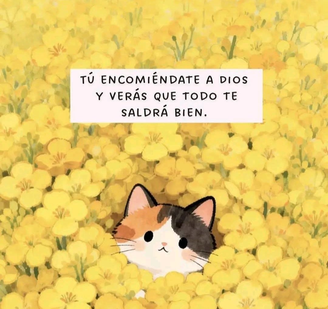 Consciencia ♥ (@consciencia1111) on Twitter photo 