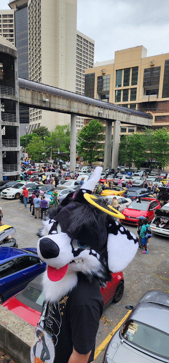 NiceAlis's tweet photo. The cars and collars was so fun!! 

One day I’ll bring an R32… 🔥 https://t.co/gsKfnXQ1rt