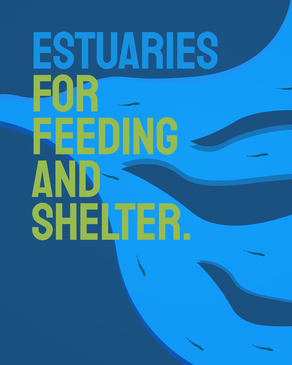 PACIFIC SALMON FOUNDATION tweet media