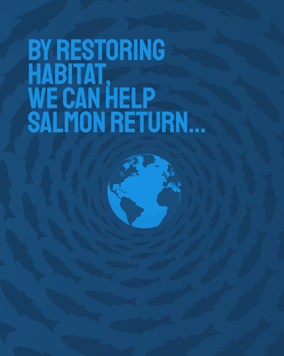 PACIFIC SALMON FOUNDATION tweet media
