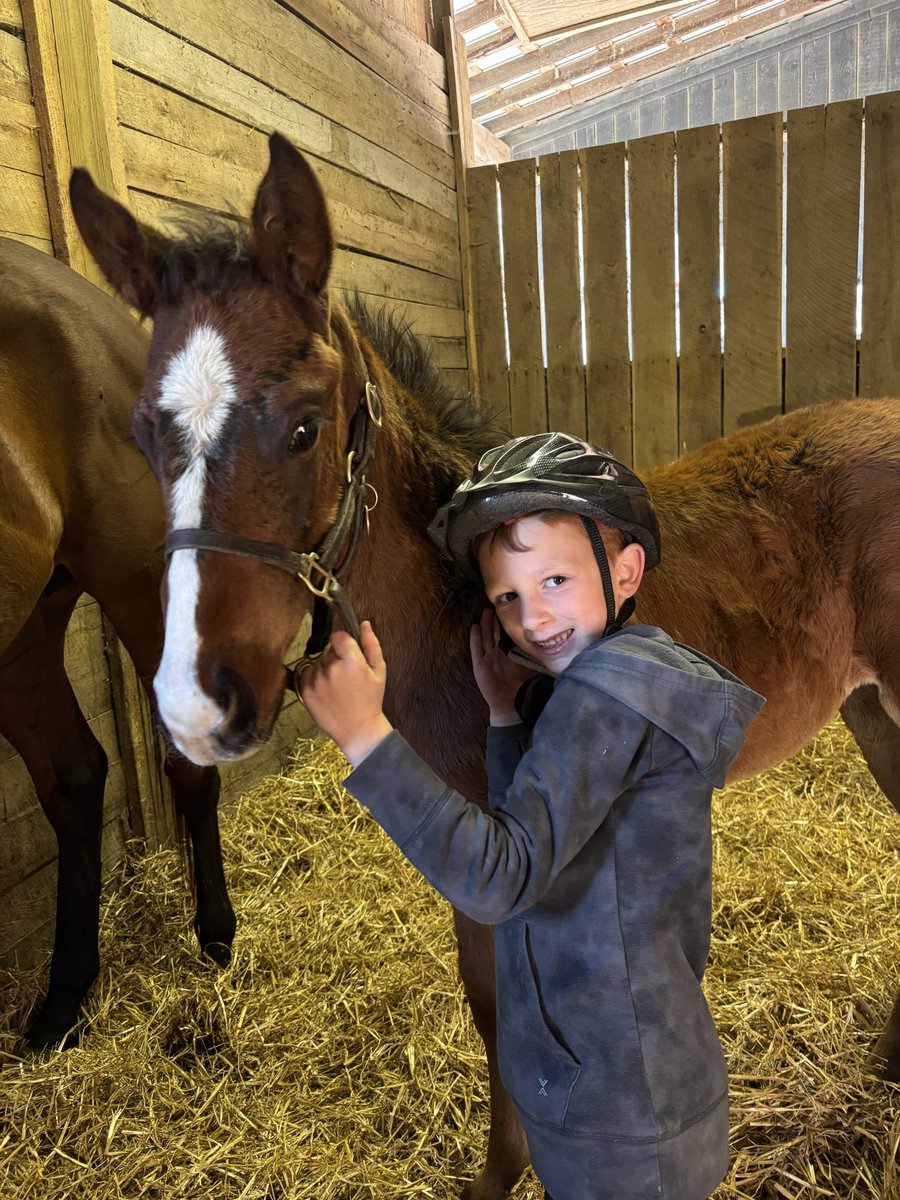 R. Brisset Thoroughbred Stable tweet media