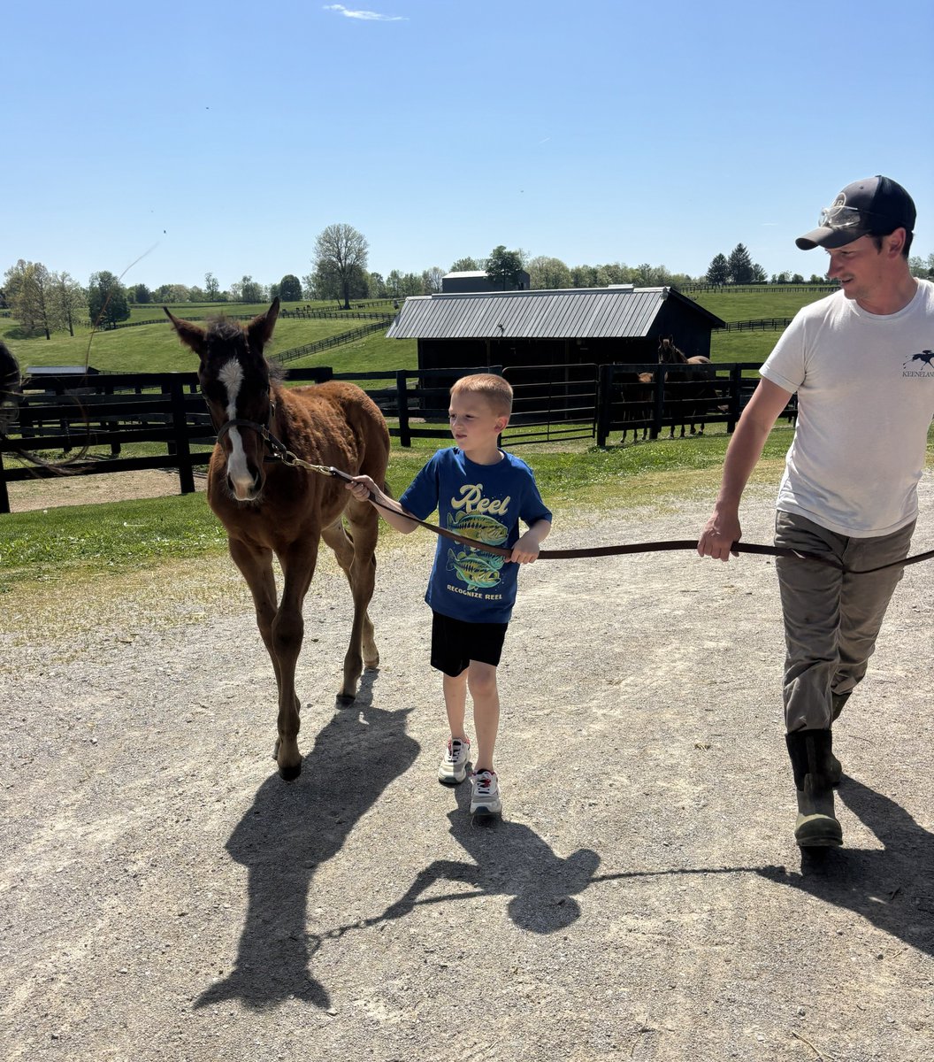 R. Brisset Thoroughbred Stable tweet media