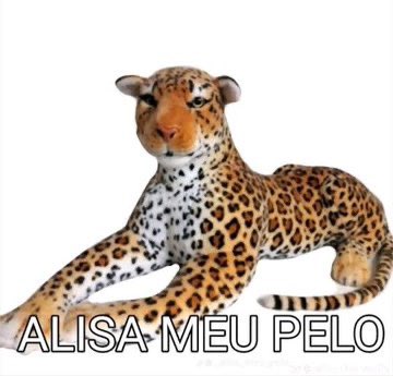voipp_'s tweet photo. @Grl_of_damascos @V1ctor_SnK @videosmaiconkus aí ví valor https://t.co/He15tcY3XX