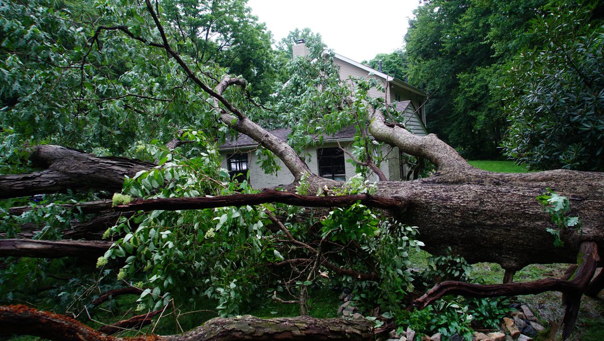 Vince0818's tweet photo. Storm season is here in Ohio, and strong winds can bring down trees. Here's what the law says about who pays for tree damage.
https://t.co/jAPdtbqovT https://t.co/fbR5poeYCe