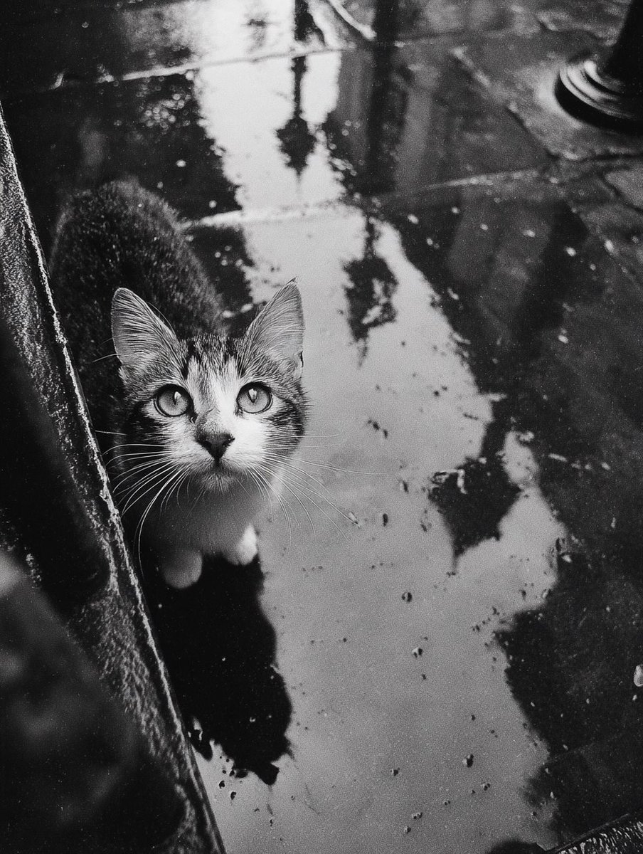 ©Noemia Prada