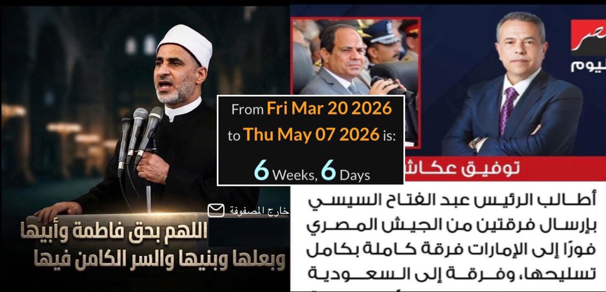 lamia mostafa tweet media