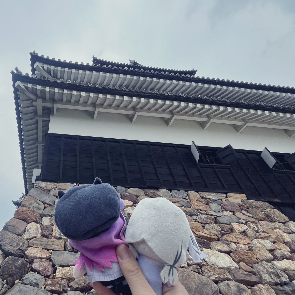 🍑🥟みんと09🐧⚡️🗝♠🍣🌐💜☃️👾 tweet media
