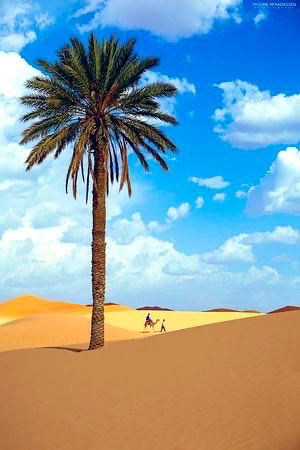 اذكر الله tweet media