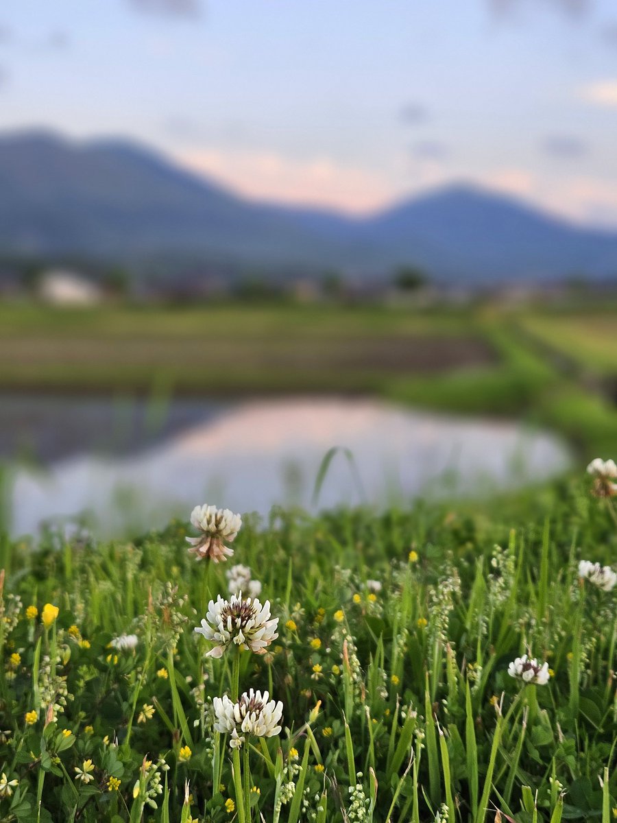 村雨 tweet media