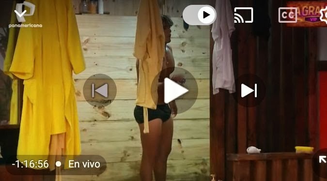 Prefiero ver a las gallinas que esto