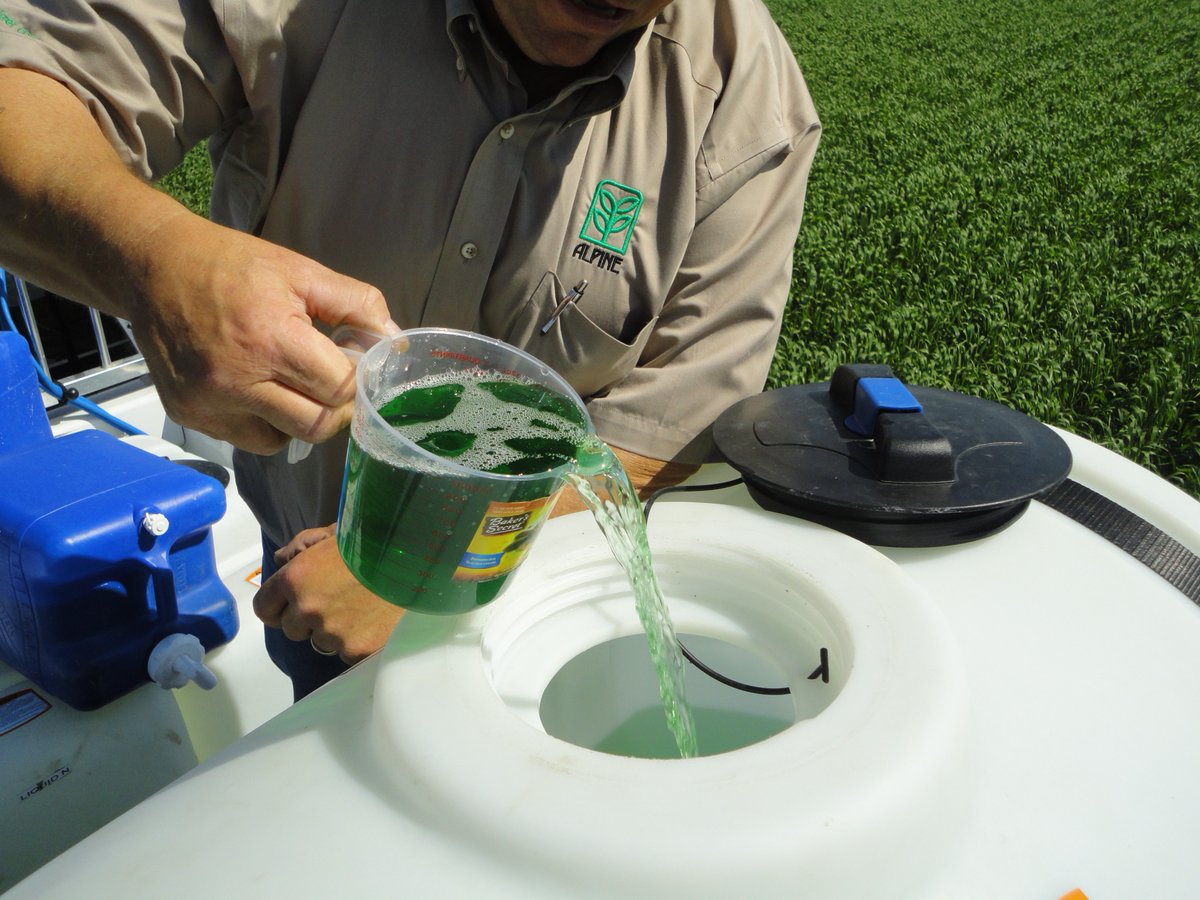 alpinepfl's tweet photo. Our crop doesn't stop growing after planting. Don't stop feeding it. 🌱

https://t.co/dc63qdgRrO
#ALPINEFertilizer #FoliarFeeding #CropNutrition #MaxYield https://t.co/VUbBThjDQd