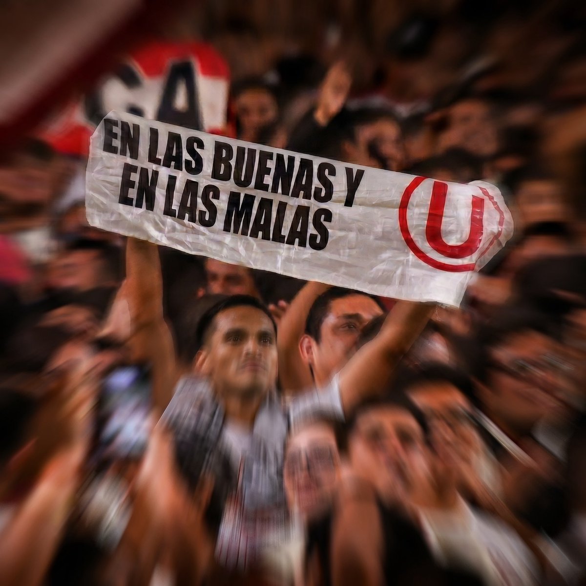 Universitario tweet media