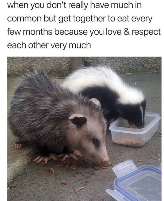 WholesomeMemes tweet media