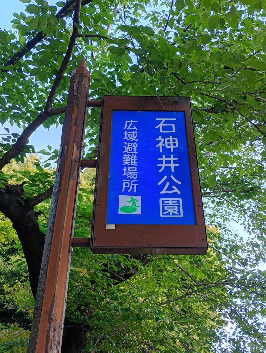 色々な鳥の鳴き声がする