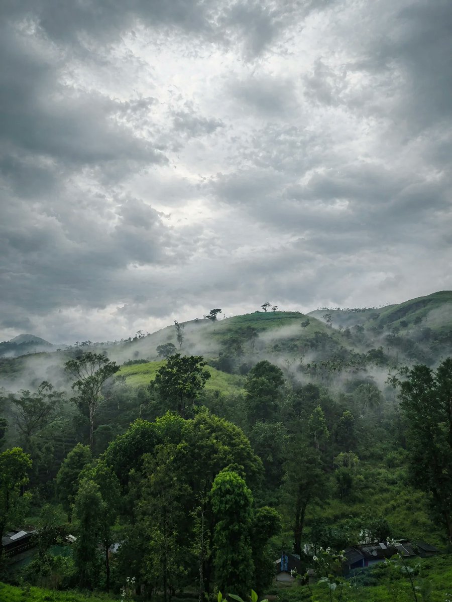 — after the rain 🌧️ 🍃