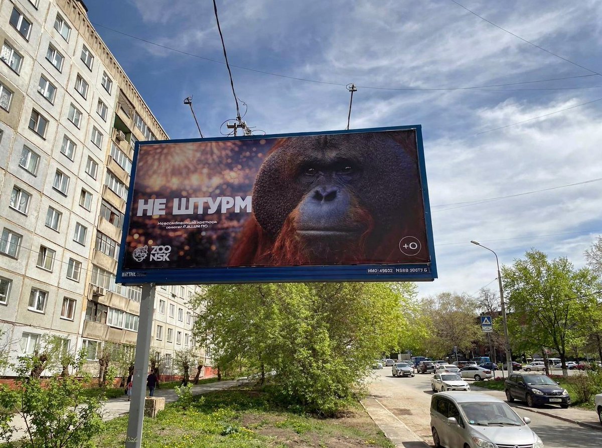 Перевал Дятлова (@_kaboota_) on Twitter photo 