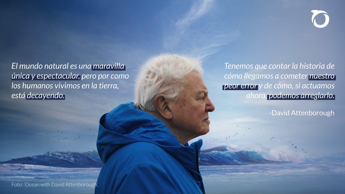 OceanaMexico's tweet photo. Prácticamente no existe ecosistema en la Tierra que haya escapado a la mirada de David Attenborough, quien ha dedicado su vida a explorar, documentar y divulgar la riqueza natural del planeta, y así acercar a millones de personas a la belleza y fragilidad del mundo que habitamos. https://t.co/wpyzo1exuj