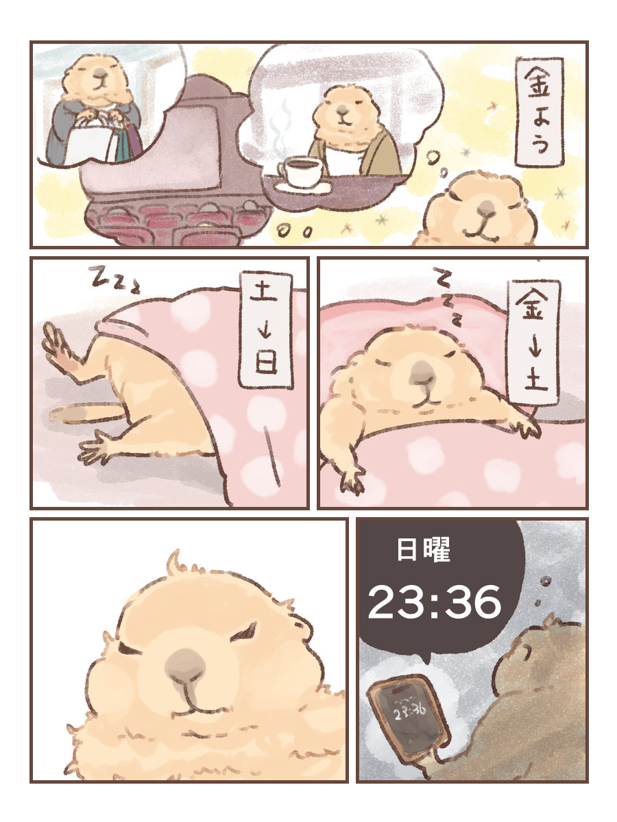 こゆき (@koyuki_2019) / Posts / X