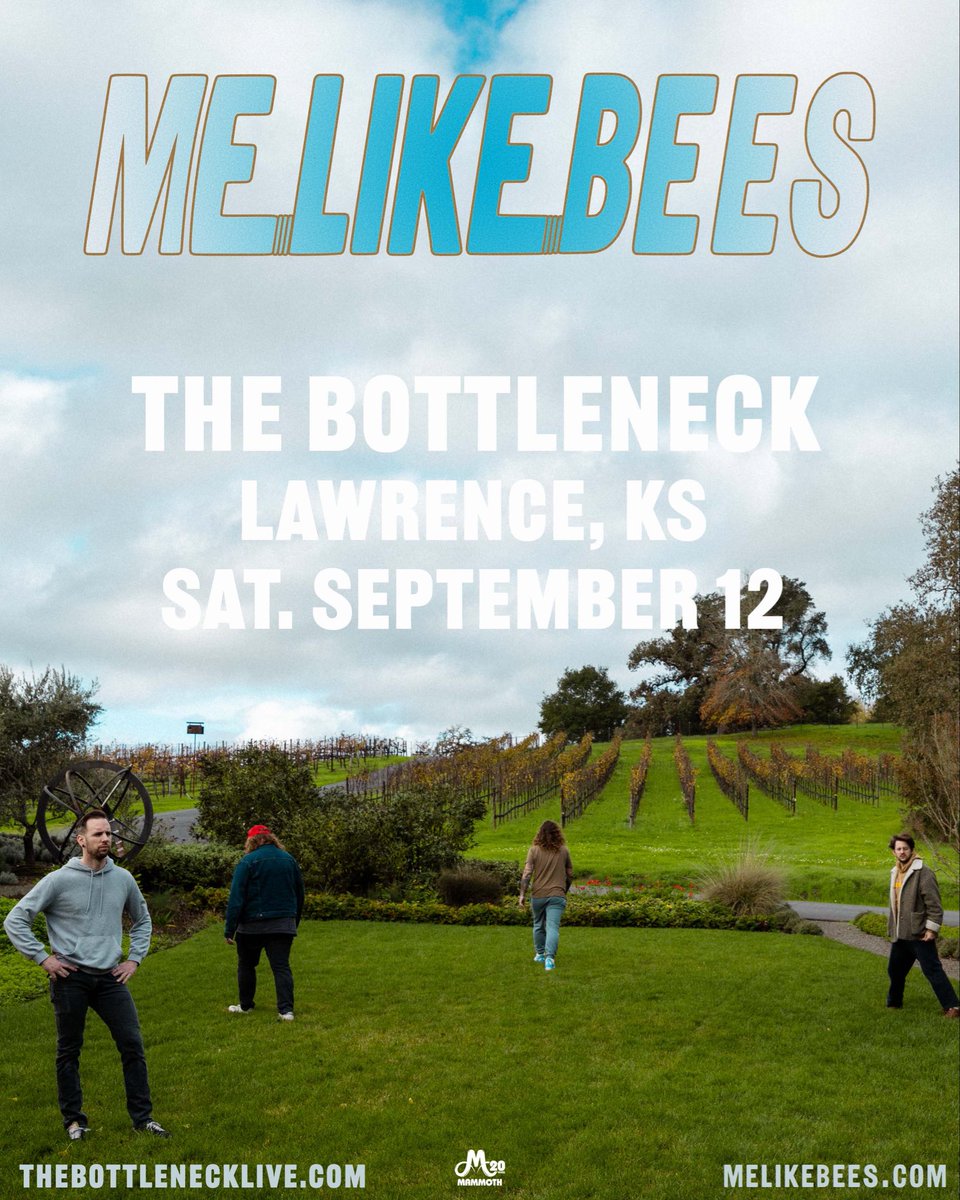 The Bottleneck tweet media