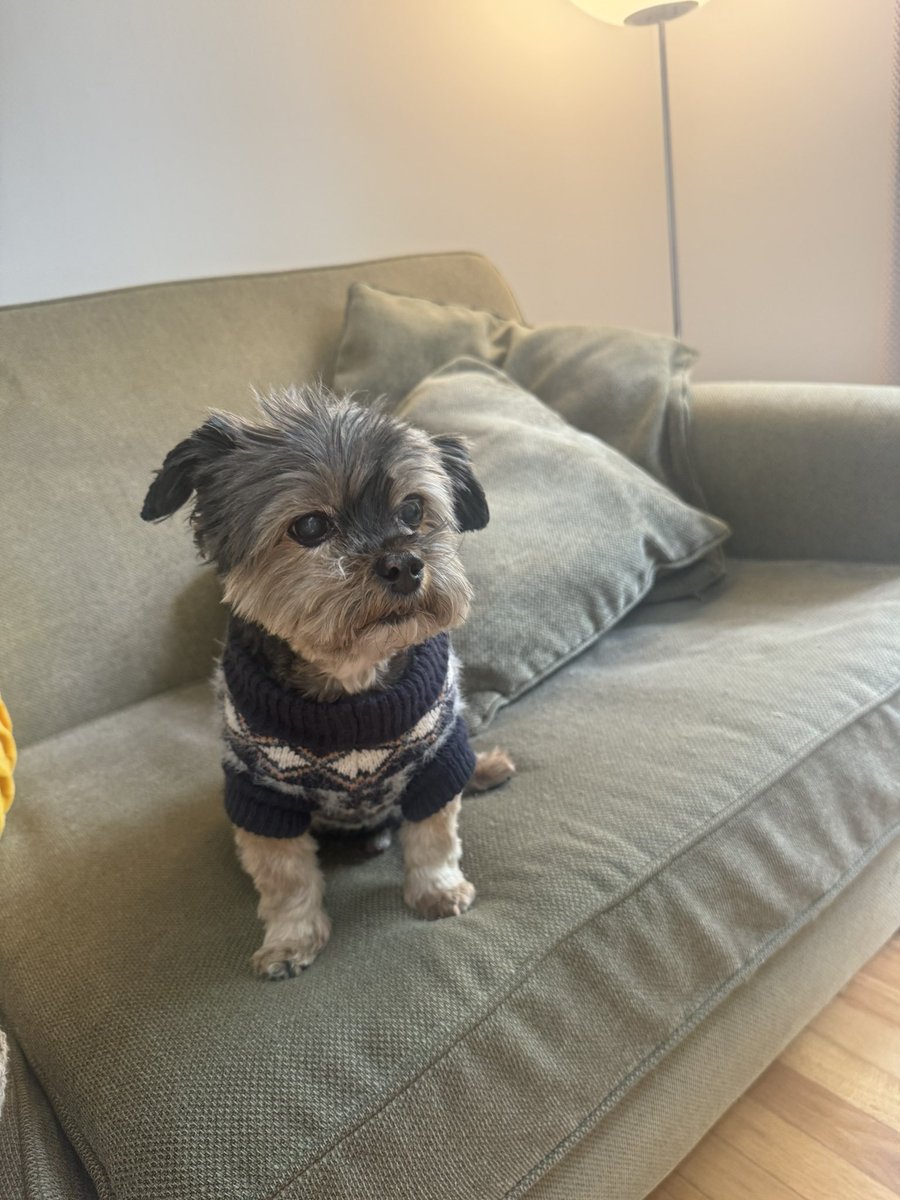 w0rmstring's tweet photo. my dog is named after this game https://t.co/dFsI7b57s5