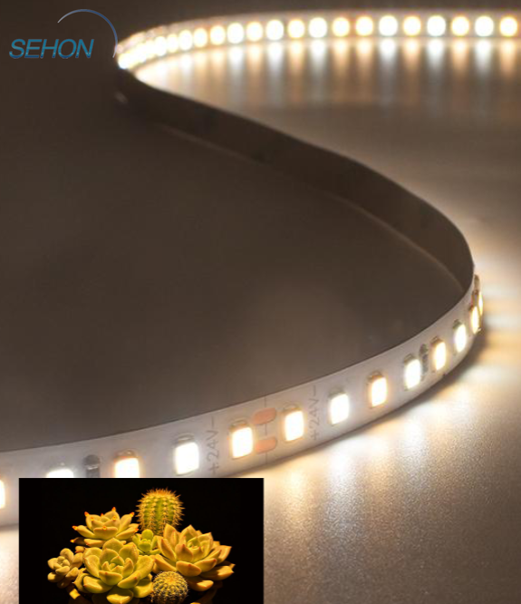 sehonledlights's tweet photo. Nurture every leaf with our 8mm-wide, full-spectrum LED strip.
https://t.co/5XS52zOhjh
#GrowLights #IndoorGardening #FullSpectrumLED ##led ##ledstrip ##UV ##UVLEDstrip ##CCTCOBStrip ##Heat-resistantstrip ##30mwithnovoltagedrop ##iP68ledstrip https://t.co/xL0wxFFN3s