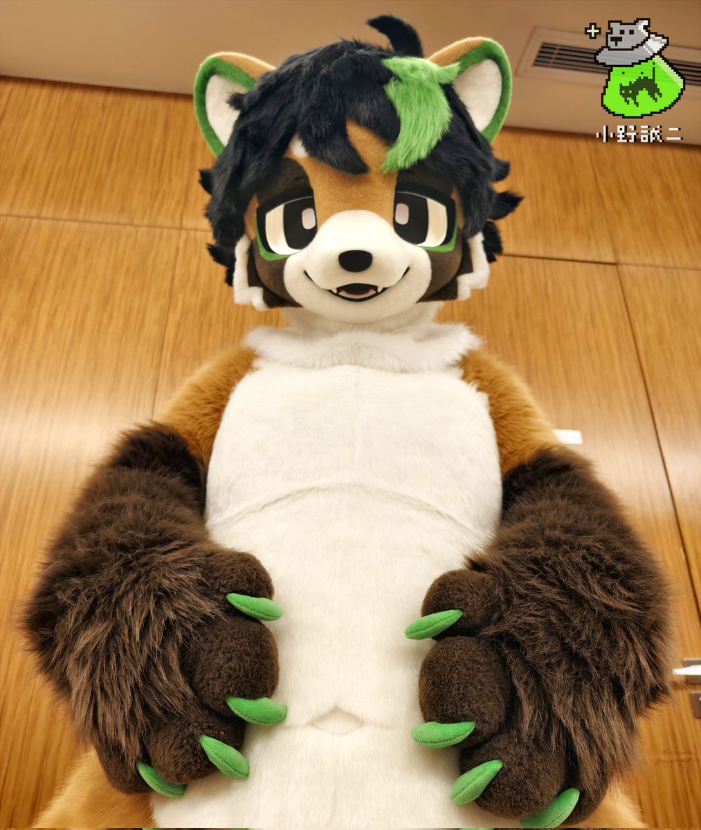 SeijiOno2's tweet photo. 🍵Fursuit Commission Showcase
🍫 Meet Matcha the Tanuki! 
✨💚 First time making a chubby body type with special paddings for upper body, so much fun 🤤
CM completed for @tanuki_Matcha https://t.co/xWVzC9Y4h3