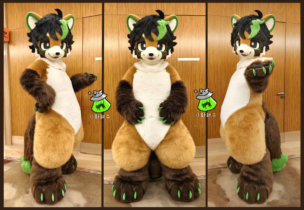 SeijiOno2's tweet photo. 🍵Fursuit Commission Showcase
🍫 Meet Matcha the Tanuki! 
✨💚 First time making a chubby body type with special paddings for upper body, so much fun 🤤
CM completed for @tanuki_Matcha https://t.co/xWVzC9Y4h3