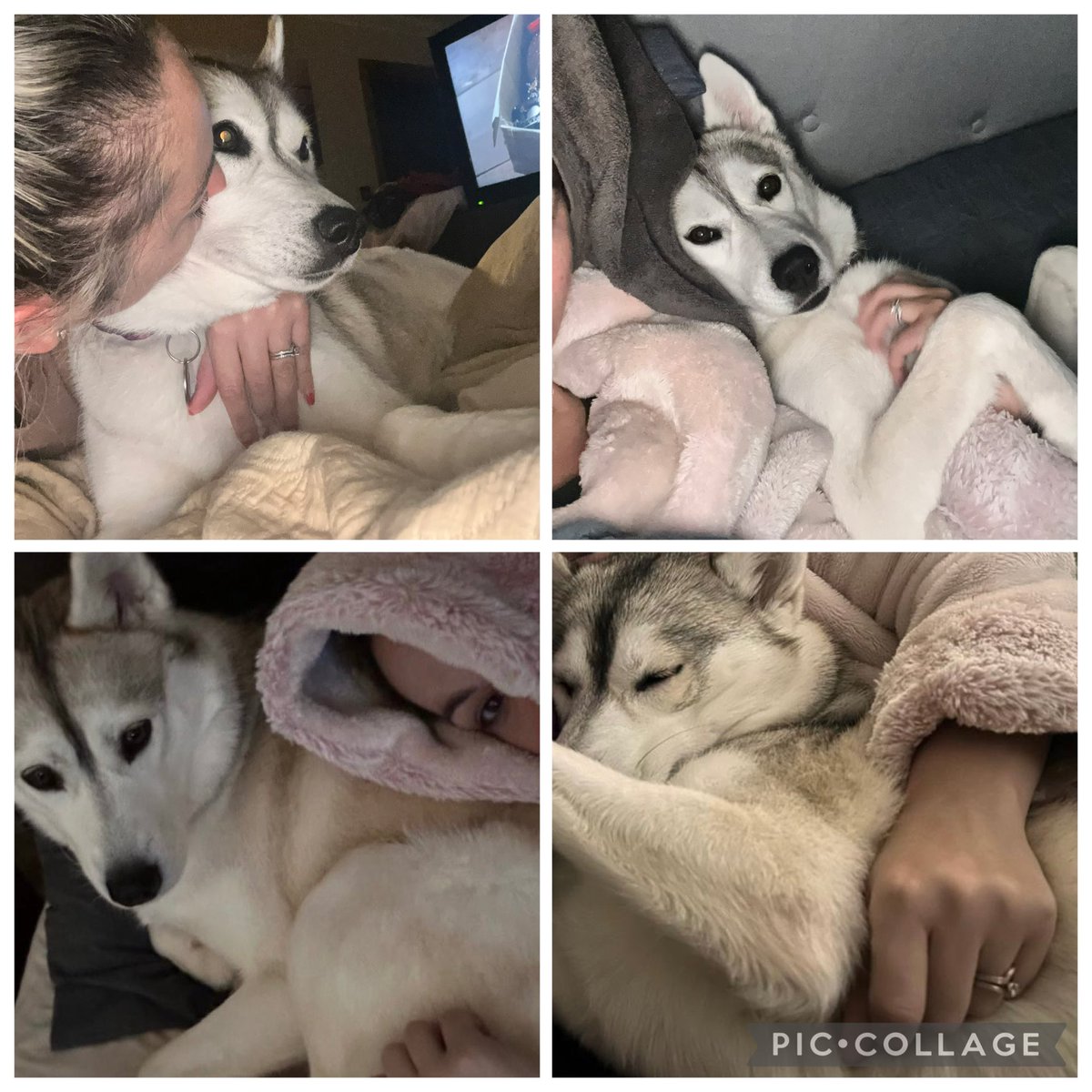 MeikaEds's tweet photo. HAPP BIRTHDAY TO MY MAM WHO I AM OBSESSED WITH AND SHE IS EQUALLY OBSESSED WITH ME!!! 🎉💜🎉💜🎂🥳 #DogsOfX #Dogs #FridayVibes #Love https://t.co/sMU94jPtmU