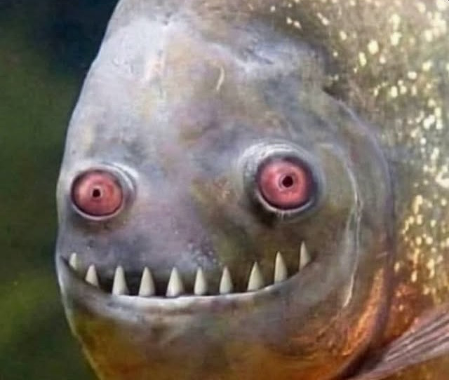 iamkevinkrieg's tweet photo. Ecom bros will look at you like this and tell you ecom isnt stressful https://t.co/SrmjeCtVsq