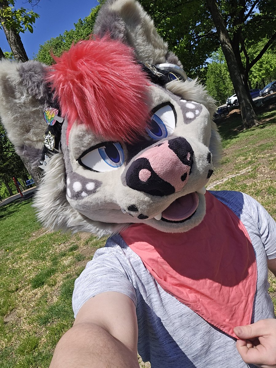 lilKadums's tweet photo. This stupid dog's still around~
Will get back to regularly scheduled fluffy dog content soon. 🐶
#FursuitFriday https://t.co/spDSPXKhFc